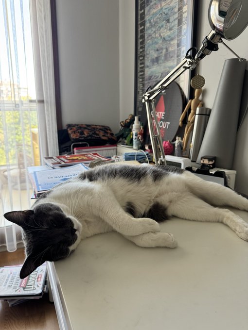 A black and white cat lies stretched out on a white desk, head hanging off the edge near a window, with a desk lamp, art mannequin, and books visible in the background.