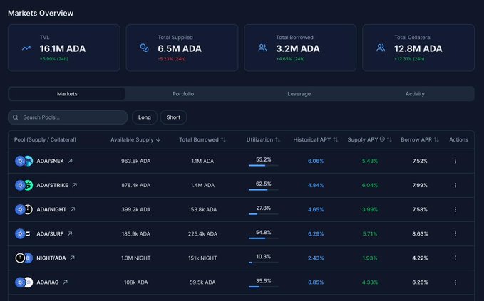 The image shows a computer screen displaying a detailed overview of various cryptocurrency pools, including one that has over 16 million ADA (adjusted market value) in its pool. The largest pool in this list is an over 1.5M ADA pool with a total of 8M ADA borrowed from other pools. Another smaller pool can be seen as well, with a total of 7M ADA. The post also mentions the availability and utilization of these pools, along with their current market values.