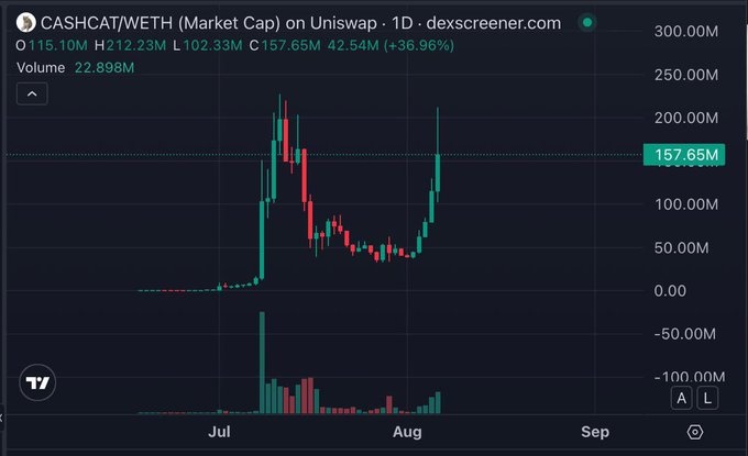 A daily chart of CASHCAT/WETH market cap on Uniswap shows the token surging to $212M in late July, crashing back to around $25M, and then rallying +36.96% to $157.65M in early August with elevated volume — visually confirming the "$CASHCAT DID A COMEBACK HIGHER" post.