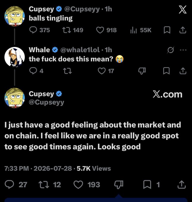 The image shows a X post by Cupsey (@Cupseyy) saying "balls tingling," which whale (@whale1lol) responds to by asking "the fuck does this mean?" A follow-up quote tweet from Cupsey adds, "I just have a good feeling about the market and on chain. I feel like we are in a really good spot to see good times again. Looks good." The meme jokingly compares Cupsey's cryptic bullish market vibes to GCR, the legendary crypto trader known for his minimal, confident market takes.