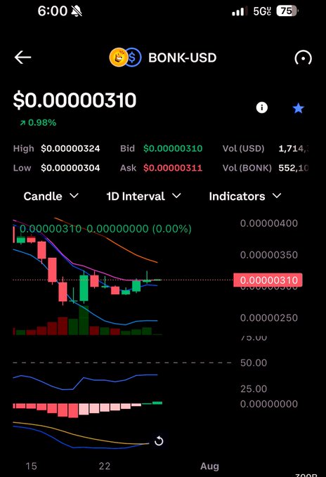 A mobile screenshot showing the BONK-USD cryptocurrency trading chart at $0.00000310 with a 0.98% increase.