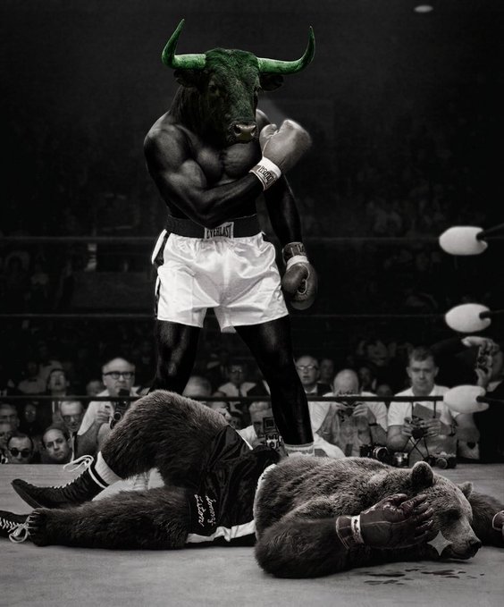 A muscular figure with a green bull's head, wearing white "EVERLAST" boxing shorts, stands triumphantly in a ring over a defeated bear lying on the canvas.