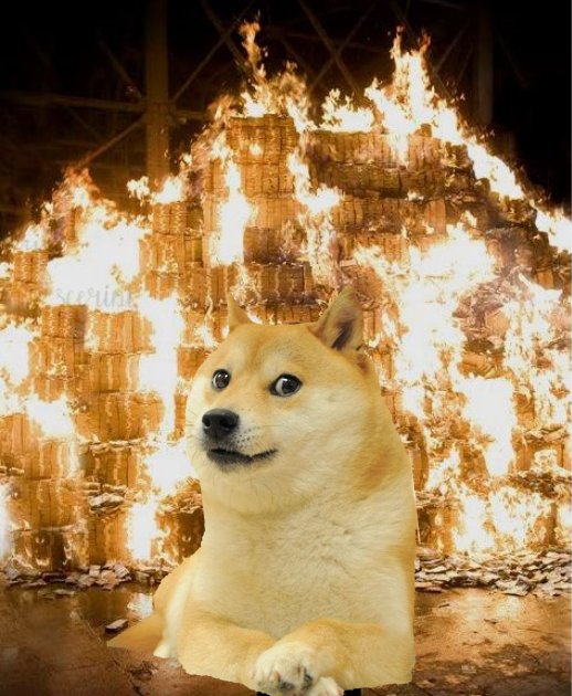 A humorous composite image showing a Shiba Inu (Doge) calmly lying in front of a large pile of burning cardboard boxes.