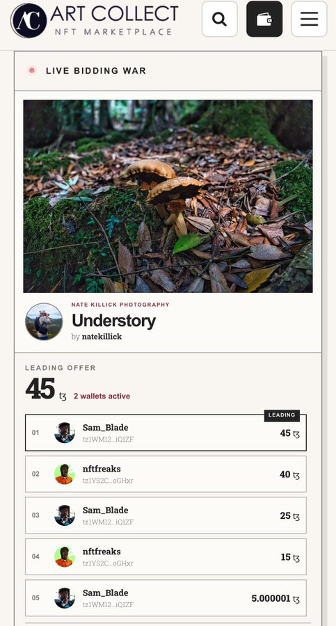 An ArtCollect NFT Marketplace 'Live Bidding War' screen for the photography piece 'Understory' by natekillick, showing a leading offer of 45 with multiple bids from Sam_Blade and nftfreaks.
