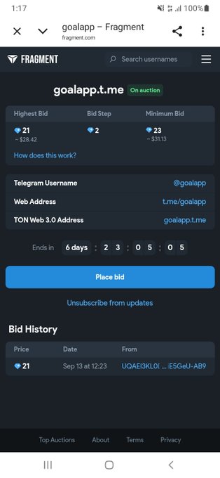 Screenshot of a Fragment.com auction page for the Telegram username 'goalapp' (goalapp.tme), showing a highest bid of 21 TON (~$28.42), ending in 6 days, 23 hours, 5 minutes, and 5 seconds.