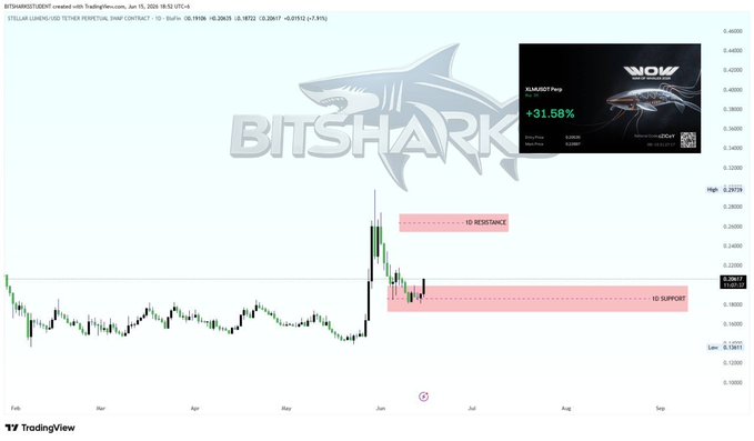 The image shows a computer screen with a graph of various stock market indicators, including price points that may be relevant for trading strategies. A small candle chart is displayed, which represents a single data point against an ocean of numbers indicating fluctuations throughout the day. The screen also features a graphic of a shark symbolizing a trading strategy involving leverage and big profits.