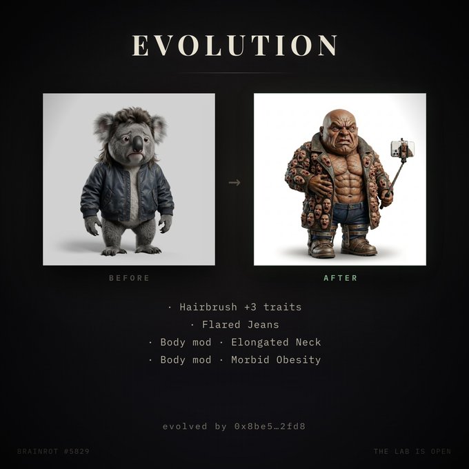 An 'EVOLUTION' image showing a koala character transforming into a muscular bald figure, labeled 'BEFORE' and 'AFTER' with traits listed including 'Hairbrush +3 traits', 'Flared Jeans', 'Body mod · Elongated Neck', and 'Body mod · Morbid Obesity', credited to '0x8be5_2fd8' as 'BRAINROT #5829'.