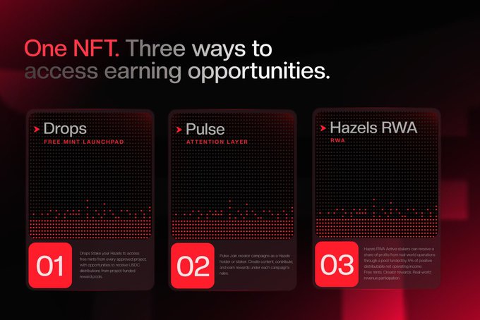 A digital advertisement with the text 'One NFT. Three ways to access earning opportunities.' and three panels labeled 'Drops', 'Pulse', and 'Hazels RWA'.