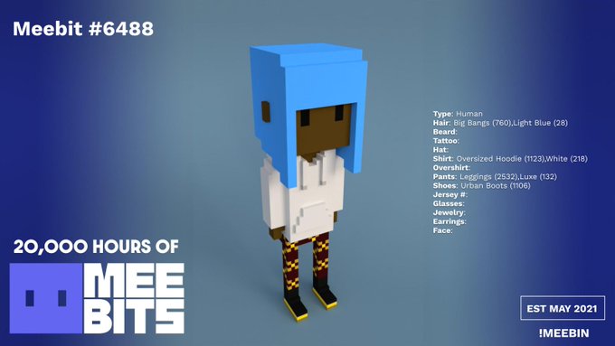 A Meebit #6488 NFT showcase featuring a blocky 3D character with blue hair, white hoodie, and leggings, labeled '20,000 HOURS OF MEEBITS, EST MAY 2021, iMEEBIN'.