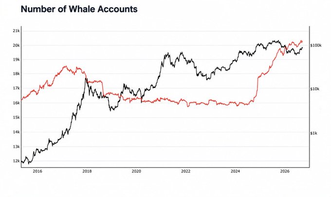 A line graph titled 'Number of Whale Accounts' tracking data from 2016 to 2026, showing a black line fluctuating between 12k and 21k and a red line trending upward from around $10k to $100k.