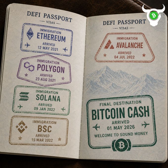 Illustration of a 'DeFi Passport' with immigration stamps for Ethereum, Polygon, Solana, BSC, and Avalanche, showing a final destination of Bitcoin Cash ('WELCOME TO SOUND MONEY').