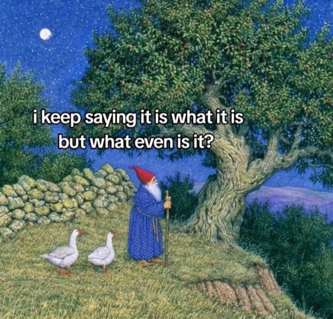 An illustration of a gnome in a red hat and blue robe standing with two white geese beneath a large tree at night, overlaid with the text: 'i keep saying it is what it is but what even is it?'