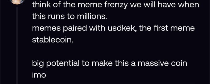 A screenshot of a social media post discussing cryptocurrency, stating 'think of the meme frenzy we will have when this runs to millions. memes paired with usdsek, the first meme stablecoin. big potential to make this a massive coin imo'.