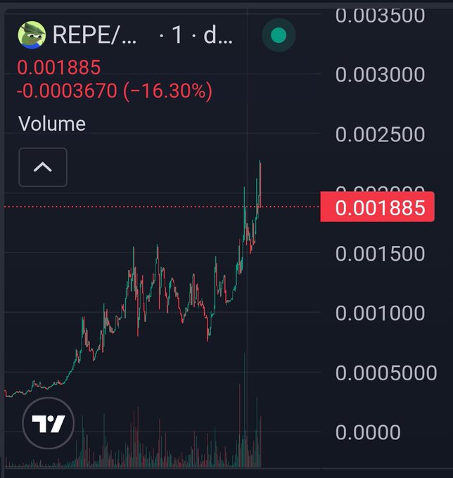 The image shows a TradingView 1-day chart for the ticker "REPE" priced at 0.001885, down -16.30% (-0.0003670), with a recent volatile spike in price before pulling back, aligning with the post's hype of $REPE as a potential next runner following $CASHCAT and $ARROW.