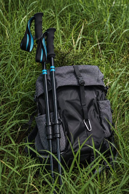 A black and gray checkered backpack with trekking poles resting on it, placed in tall green grass.