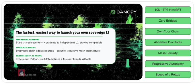 The focus of this image is a screenshot of a webpage titled "Canopy Network" which provides information about launching a new Sovereign L1 from Canopy Network. The image also contains text that promotes this service, such as highlighting its fastest and easest ways for users to launch their own sovereign L1. This implies the idea of taking ownership or controlling the infrastructure behind an application.