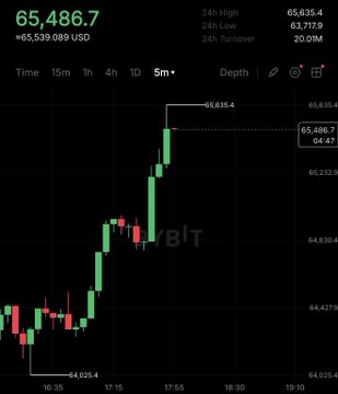 The image shows a Bitcoin (BTC) candlestick chart with the current price at $65,486.7, up +$65,539.089 USD, supporting the claim that Bitcoin has just reached a new daily high with a marked peak at $65,635.4.