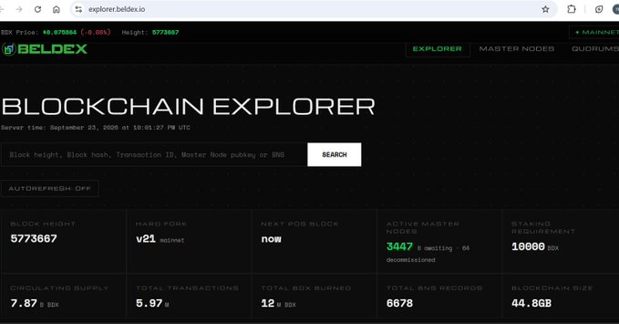 The image shows the Beldex blockchain explorer homepage, displaying key network metrics including a block height of 5773667, market fork "v21 mainnet," 3447 active master nodes (66 pending/64 decommissioned), a 10000 BDX staking requirement, 7.87 B BDX circulating supply, 5.97M total transactions, 12M total BDX burned, 6678 total BNS records, and a blockchain size of 44.8GB. This interface exemplifies the post's point about a well-designed explorer consolidating essential data—from supply and transactions to network node status—into one easily navigable view.