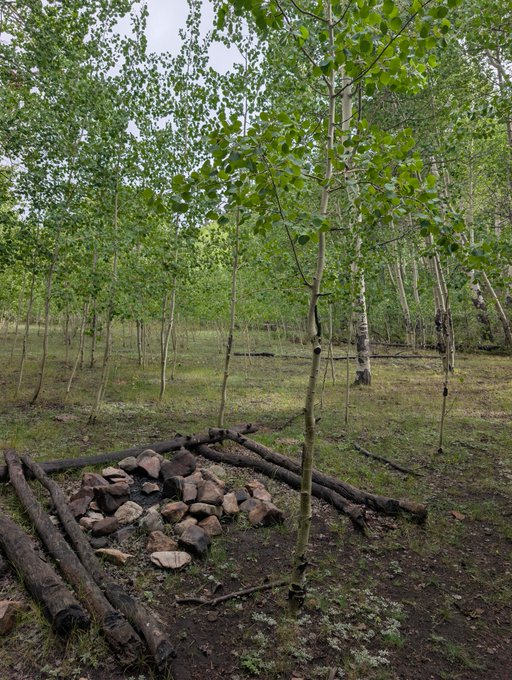 A stone-ringed fire pit framed by weathered logs sits in a clearing among aspen trees, the weathered remains of a once-active backcountry camp. The scene visually anchors the post's nostalgic reflection on multi-generational hunting traditions and the lasting impact of a father introducing his child to the wilderness.