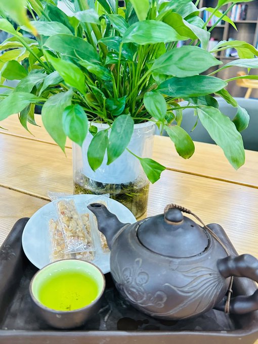 A traditional Asian tea setting on a wooden tray with a dark clay teapot, a small cup of green tea, a plate of sesame candy, and a vibrant green pothos plant in a glass vase.
