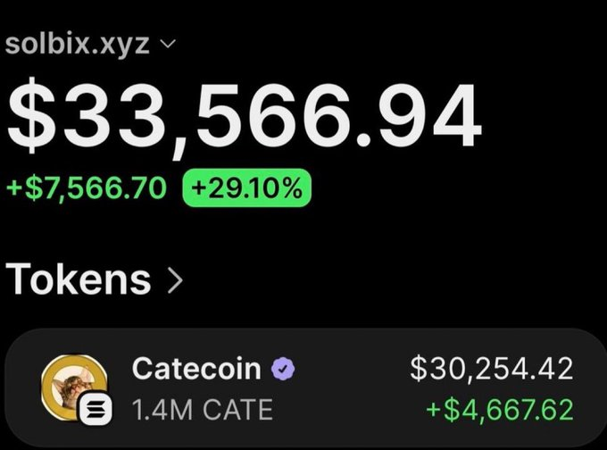A crypto portfolio screenshot shows the solbix.xyz wallet holding $33,566.94 with a +29.10% gain, prominently featuring a 1.4M CATE (Catecoin) position valued at $30,254.42 and up $4,667.62—visually substantiating the claim of a $1,000 investment turning into substantial profit on the $CATE token.