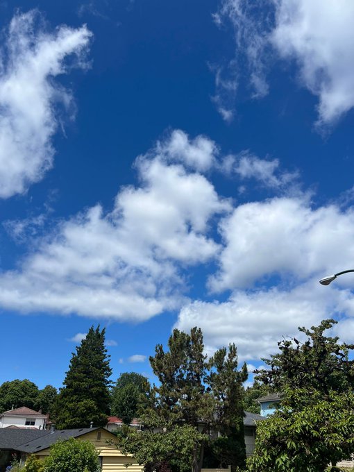 A view of a partly cloudy blue sky with white clouds above a row of houses, trees, and a street lamp.