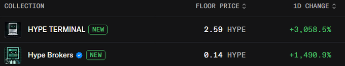 A NFT marketplace listing showing 'HYPE TERMINAL' with a floor price of 2.59 HYPE and a 1D change of +3,058.5%, along with 'Hype Brokers' at 0.14 HYPE and +1,490.9%, both marked as NEW.