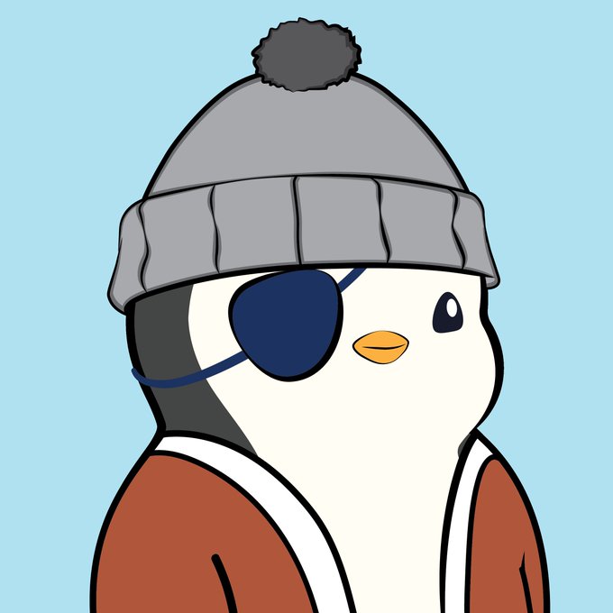A cartoon illustration of a penguin wearing a gray winter hat with a pom-pom and a blue eye patch, dressed in a brown jacket against a light blue background.