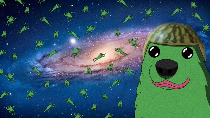 A cartoon frog wearing a watermelon helmet dominates the foreground, set against a cosmic backdrop featuring the Andromeda galaxy and numerous smaller frog figures floating throughout the starry expanse. The surreal, space-frog imagery playfully illustrates the post's announcement of an airdrop, visually representing the "fwogs" being distributed to wallets.
