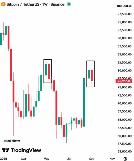 A Bitcoin/TetherUS weekly chart on TradingView (by @TedPillows) showing BTC/USDT price action from early 2026 with current price highlighted at 76,962.00, featuring two black rectangles marking bearish price patterns.