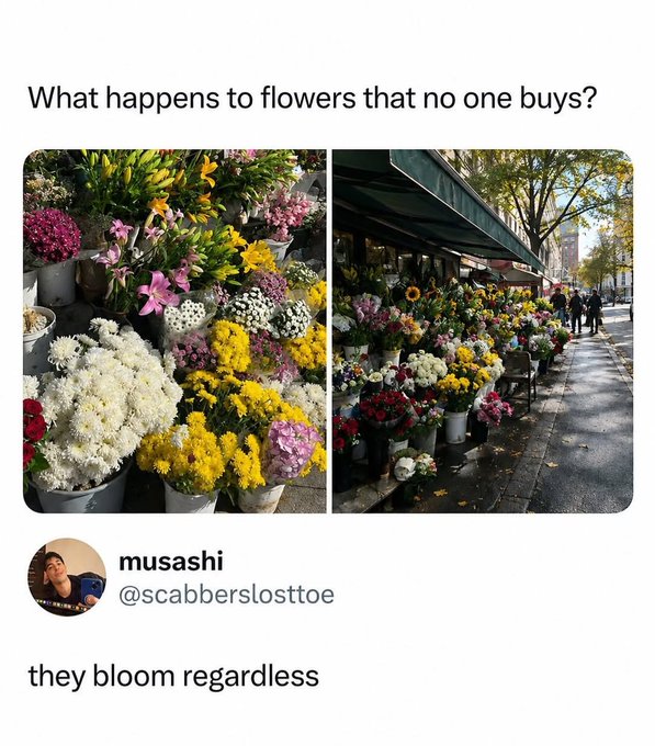 A Twitter post by 'musashi (@scabberslosttoe)' showing photos of flower stalls, with the caption 'What happens to flowers that no one buys?' followed by the reply 'they bloom regardless'.