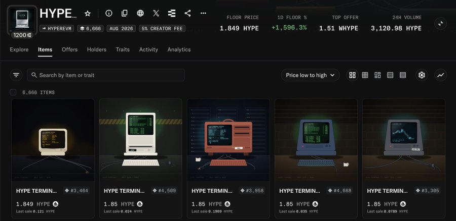 Marketplace interface for the 'HYPE' collection with a floor price of 1.849 HYPE, +1,596.3% gain, and listings of retro computer-themed 'HYPE TERMINAL' items.