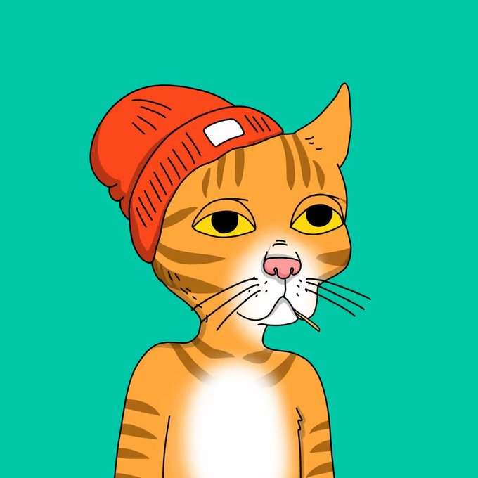 A digital illustration of an orange tabby cat with large yellow eyes, wearing an orange beanie, set against a solid teal background.