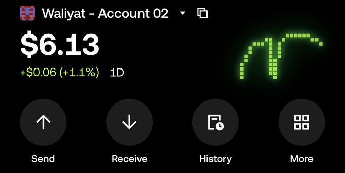 The image shows a crypto wallet dashboard for "Waliyat - Account 02" displaying a balance of $6.13, up $0.06 (+1.1%) over 1D, with options to Send, Receive, view History, and More, alongside a green pixel-art wallet graphic. This relates to the post's caption about being down to their last $6, visually illustrating the small crypto balance the user is hoping to grow into something like $1,000,000 ("$ek").
