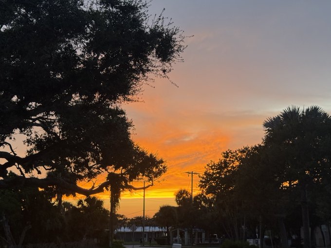 A scenic photograph of a sunset with orange and pink clouds, framed by silhouetted oak trees, Spanish moss, and palm trees against a twilight sky.