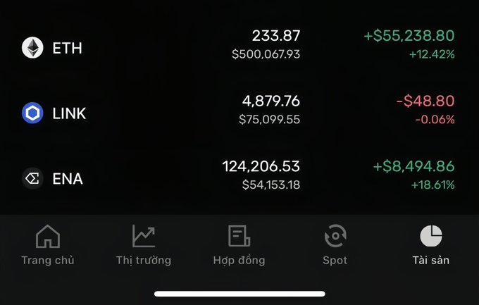 A mobile crypto portfolio screen showing holdings: ETH (233.87, +$55,238.80), LINK (4,879.76, -$48.80), and ENA (124,206.53, +$8,494.86), with a Vietnamese language navigation bar at the bottom.