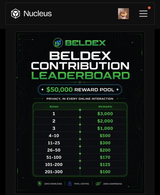 A screenshot of the Beldex Contribution Leaderboard showing a $50,000 reward pool with tiered rankings: rank 1 receives $3,000, rank 2 receives $2,000, rank 3 receives $1,000, and descending rewards down to $100 for ranks 201-300.