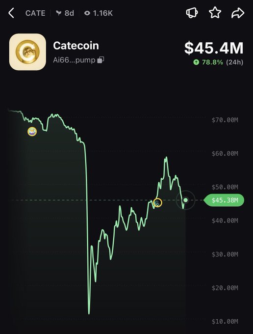 The image shows a cryptocurrency price chart for Catecoin (CATE), displaying an 8-day view with a current market cap of $45.4M (down 78.8% in 24 hours), visually illustrating the dramatic 95% crash described in the caption, with the price plunging from above $70M to a low near $10M before partially recovering to around $45.38M.