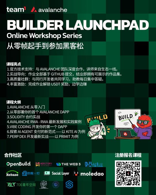 Promotional poster for 'team1 avalanche BUILDER LAUNCHPAD Online Workshop Series' in Chinese, detailing course highlights, an outline covering Avalanche, Solidity, VIBE Coding, Agent AI, and Perp DEX, with partner logos including OpenBuild, HERSTORY, THE WEB 3, and moledao, plus a QR code.