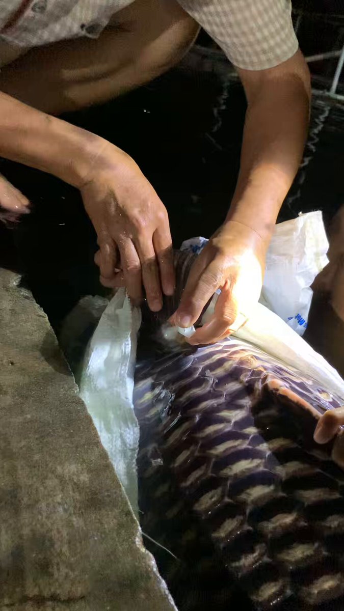None