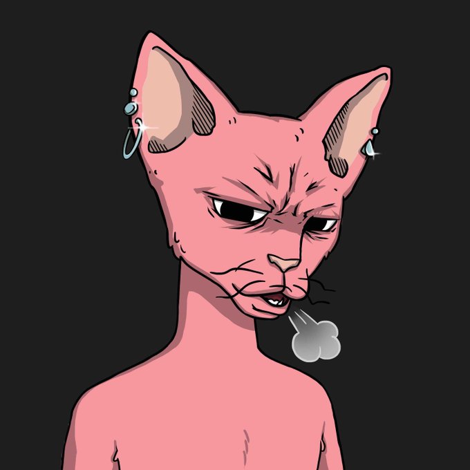 An illustrated pink Sphynx cat with multiple earrings, a skeptical expression, and exhaling a puff of smoke is featured as the artwork for a crypto giveaway drop of "CET #6853" priced at 0.4 SOL, with the winner announced in 6 hours.