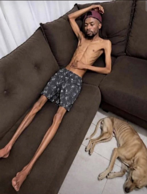 A shirtless man lying on a brown couch next to a thin, sleeping brown dog on the floor.