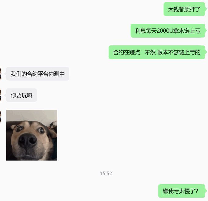 A WeChat conversation screenshot includes Chinese text discussing a '大钱都质押了' situation, messages about earning 2000U daily, and a photo of a dog with a surprised expression.