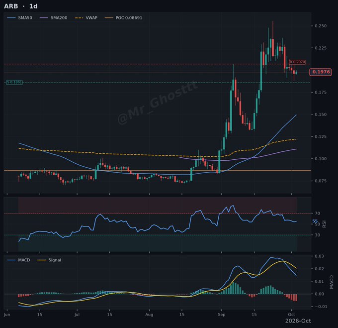 A 1-day candlestick chart for ticker 'ARB' showing technical indicators (SMA50, SMA200, VWAP, RSI, MACD), with a current price of 0.1976 and the watermark @Mr_Ghostt.
