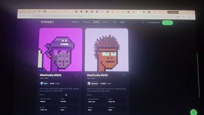 A computer screen displays the STAGE0 NFT marketplace showing RisePunks NFT collections #1576 and #248, featuring pixel-art punk characters with various traits like hats and glasses.