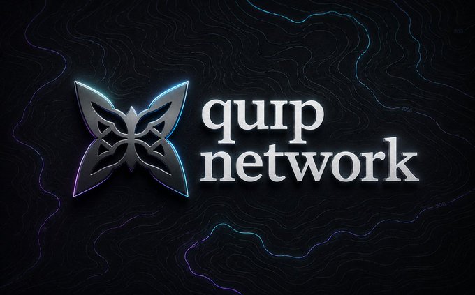 A logo for 'qurp network' featuring a stylized butterfly or fox-like emblem in white and purple on a dark background with wavy line patterns.
