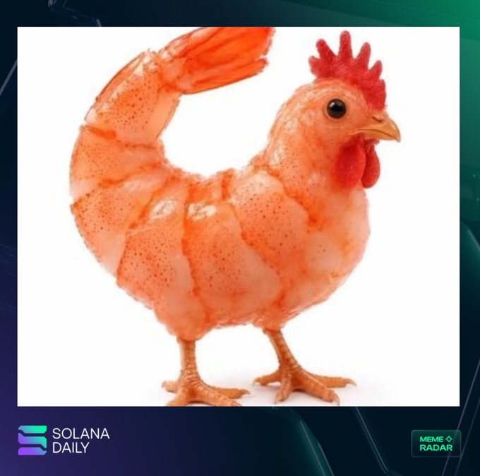A strange chimeric creature combining a rooster's head, legs, and tail with a curled shrimp's body is displayed against a white background, with "SOLANA DAILY" and "MEME RADAR" logos visible in the corners. The image directly visualizes the "$CS" (Chicken Shrimp) meme coin concept, humorously merging two animals into one absurd figure to match the project's quirky branding.