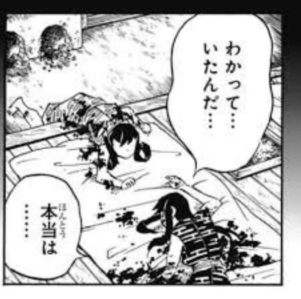 The image features a black and white comic strip with two people, one of whom has their arm raised. The text "確信を得た。 もう本当にビットコインでなくHYPEなんだ。 オルカンと $HYPE の積立しとけば仕事辞めれたんだ". The post is written in Japanese, which indicates that the image was created or published in Japan.