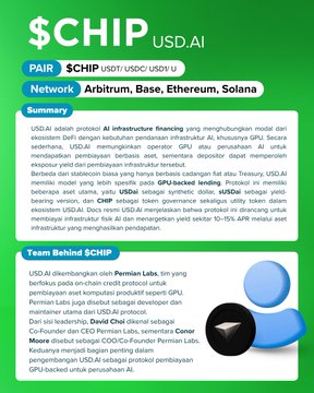 The image features a green background with white text that reads "CHIP USDT AI Pair" at the top of the page. Below this, there are two blue circles containing text written in a foreign language. The first circle contains information about the $CHIP/USDC pair and its relation to the post, while the second circle has more detailed information about the network infrastructure used by the $CHIP/USDC pair for trading.
