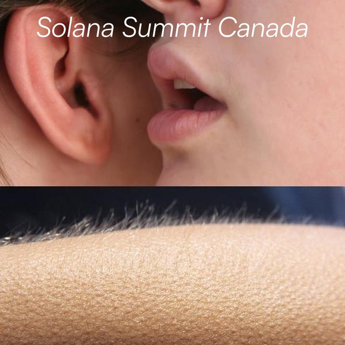 The image features two extreme close-up shots—one of an ear and lips, another of skin and fine hair—with the text "Solana Summit Canada" overlaid at the top, serving as a sensual, provocative teaser for the event.

Wait—rethinking that caption. The image appears unrelated to the text "Solana Summit Canada," lacking clear visual ties (logos, conference visuals, speakers). A more accurate caption might be:

Two intimate macro photographs—one of an ear and parted lips, another of skin texture—display the text "Solana Summit Canada," though the visuals have no apparent connection to the crypto conference.